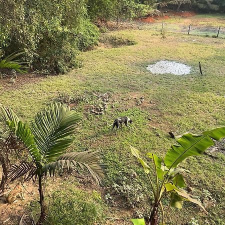 Hostelexp, Gokarna - A Slow-Paced Backpackers Community Экстерьер фото