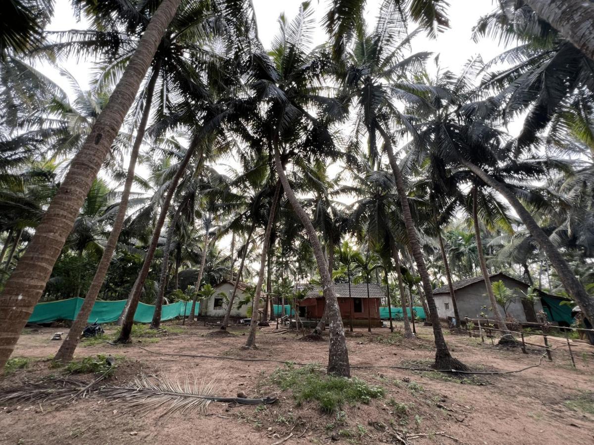 Hostelexp, Gokarna - A Slow-Paced Backpackers Community Экстерьер фото