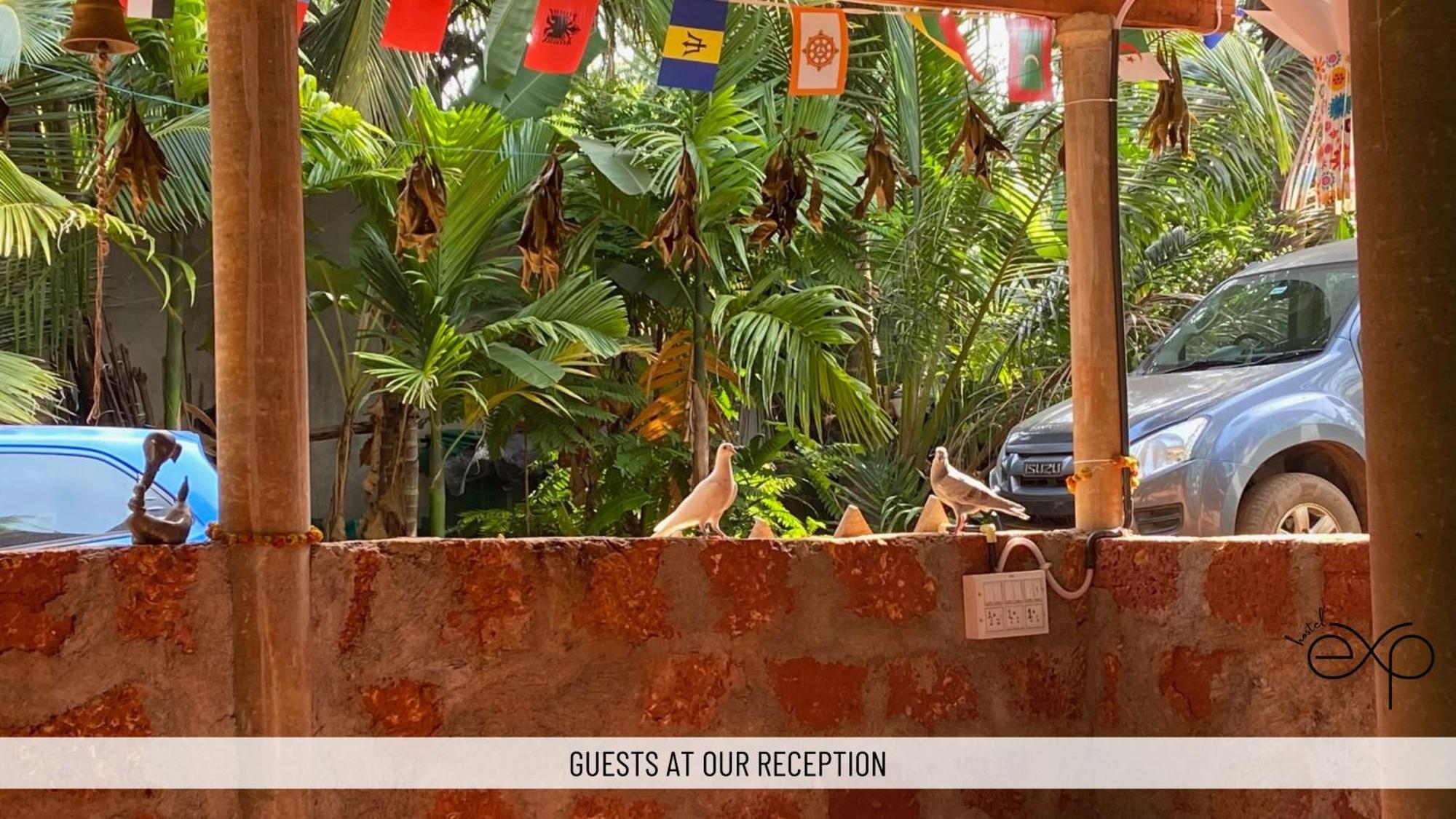 Hostelexp, Gokarna - A Slow-Paced Backpackers Community Экстерьер фото