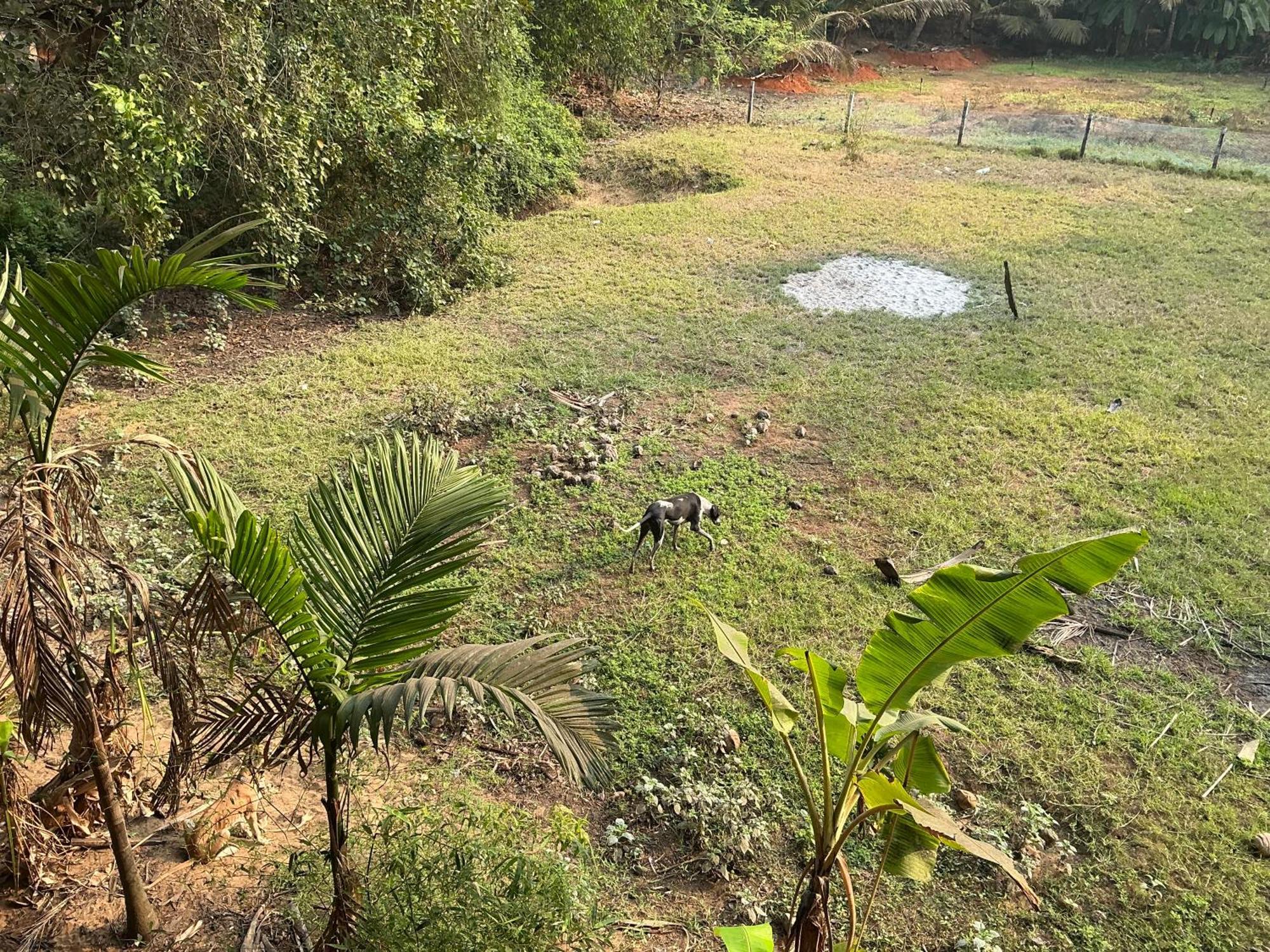 Hostelexp, Gokarna - A Slow-Paced Backpackers Community Экстерьер фото